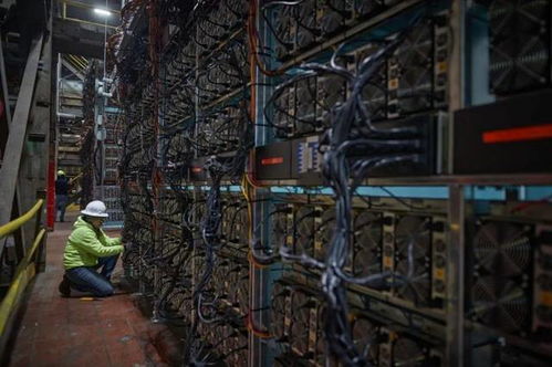 Diverse mining farm showcasing a range of mining machines in operation