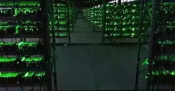 Panoramic view of a leading Bitcoin mining farm in Argentina adapting to evolving equipment costs